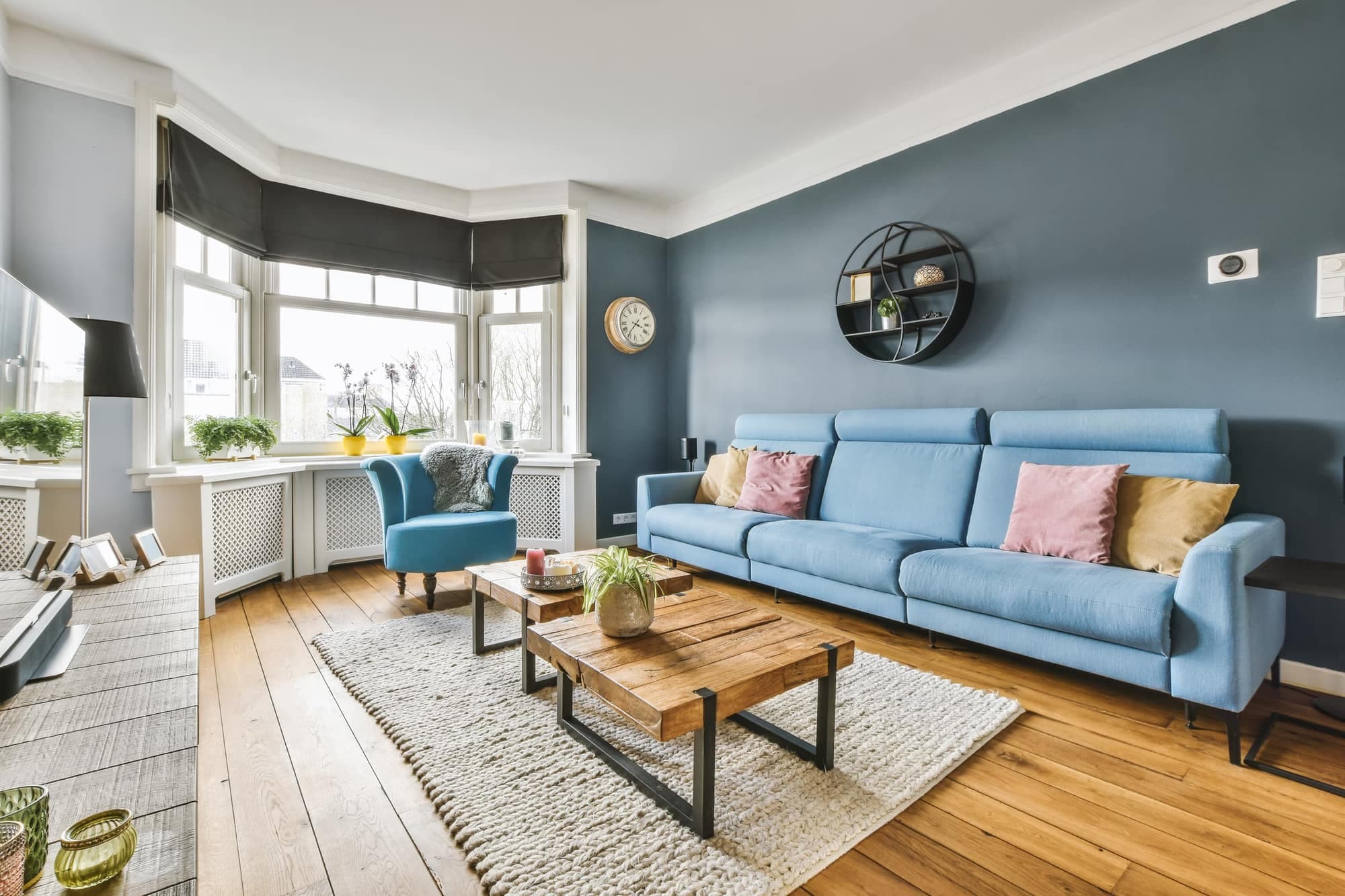Living room with a bay window, a dark blue wall, a long light-blue sofa and oak floors